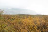 DSCF7895_Export