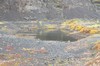 DSCF7901_Export
