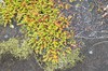DSCF7903_Export