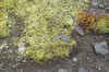 DSCF7904_Export