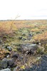 DSCF7948_Export