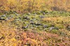 DSCF7949_Export