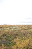 DSCF7950_Export
