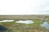 DSCF7962_Export