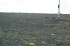 DSCF7970_Export
