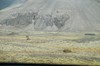 DSCF7972_Export