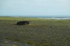 DSCF7976_Export