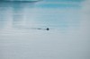 DSCF7995_Export