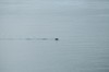 DSCF7998_Export