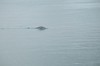 DSCF7999_Export