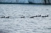 DSCF8027_Export