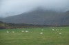 DSCF8076_Export