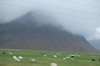 DSCF8077_Export