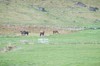 DSCF8087_Export