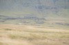 DSCF8090_Export