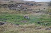 DSCF8108_Export