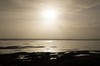 DSCF8131_Export