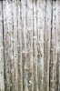DSCF8169_Export