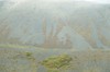 DSCF8203_Export