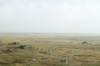 DSCF8204_Export