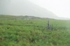 DSCF8207_Export