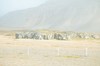 DSCF8208_Export