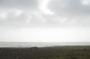 DSCF8215_Export