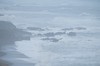 DSCF8227_Export