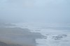 DSCF8228_Export