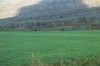 DSCF8248_Export