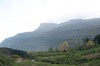 DSCF8258_Export