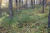 DSCF8298_Export