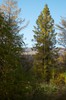 DSCF8299_Export