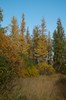 DSCF8300_Export