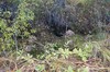 DSCF8302_Export