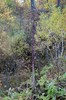 DSCF8303_Export