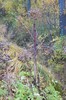 DSCF8304_Export
