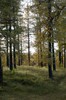 DSCF8306_Export