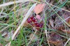 DSCF8307_Export