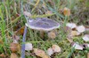 DSCF8308_Export