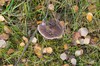 DSCF8309_Export
