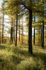 DSCF8310_Export
