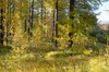 DSCF8311_Export
