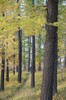DSCF8314_Export