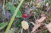 DSCF8316_Export