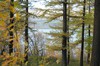 DSCF8317_Export