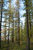 DSCF8318_Export
