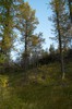 DSCF8319_Export