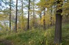 DSCF8320_Export