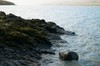 DSCF8333_Export